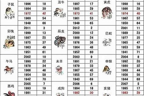 2026年五行屬什麼|2026年属马的是什么命，26年出生的马五行属什么